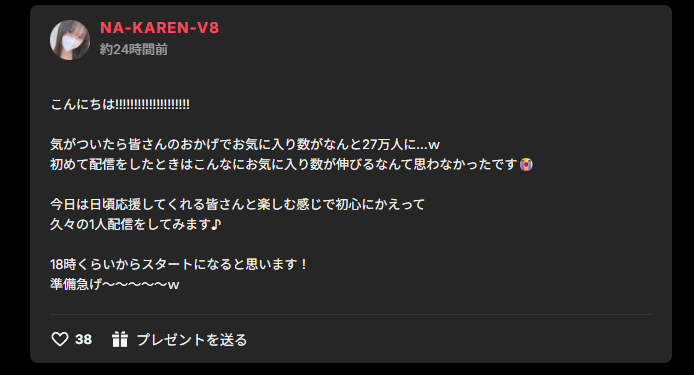 NA-KAREN-V8さんにハマる前に知っておきたい注意点